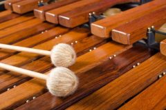 Online Marimba Lessons